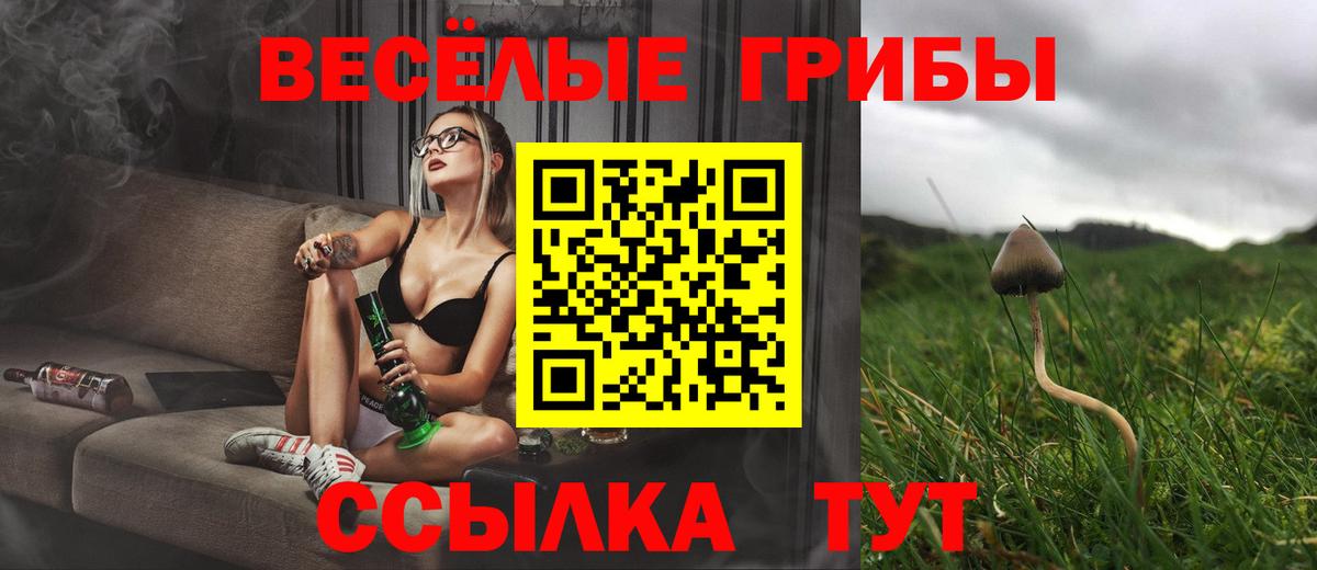 Киров  Галлюциногенные грибы мухоморы  Вход с VPN 